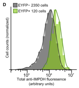Impdh Intensity